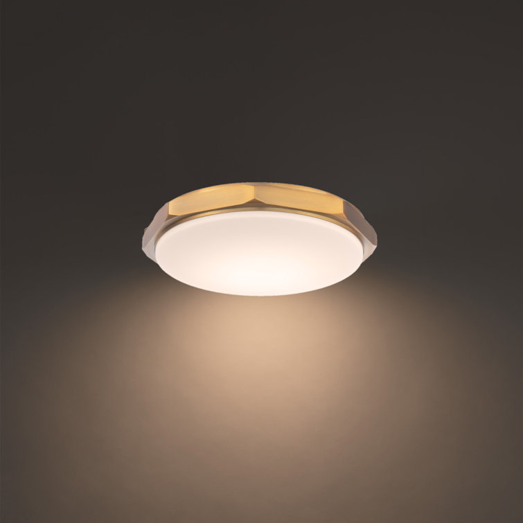 Octagonal Aged Brass LED Flush Mount with Etched Opal Glass