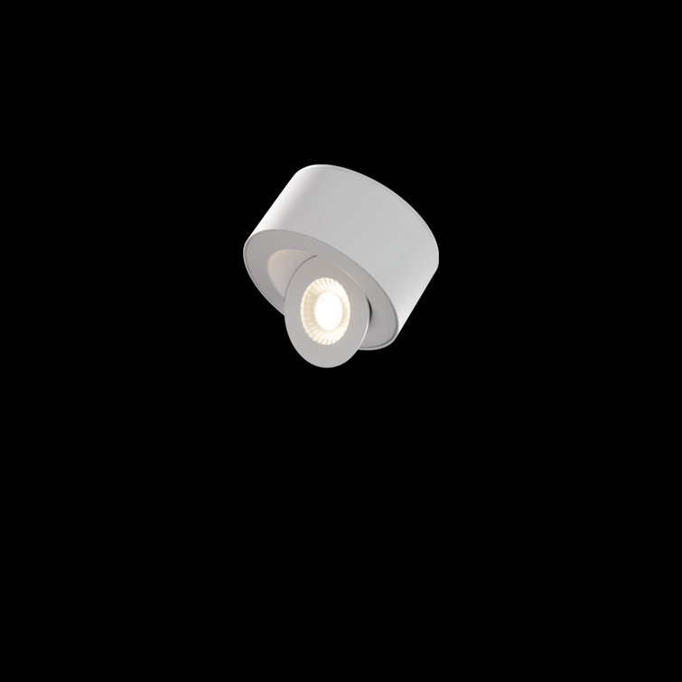 White Glass LED Indoor/Outdoor Flush Mount Light