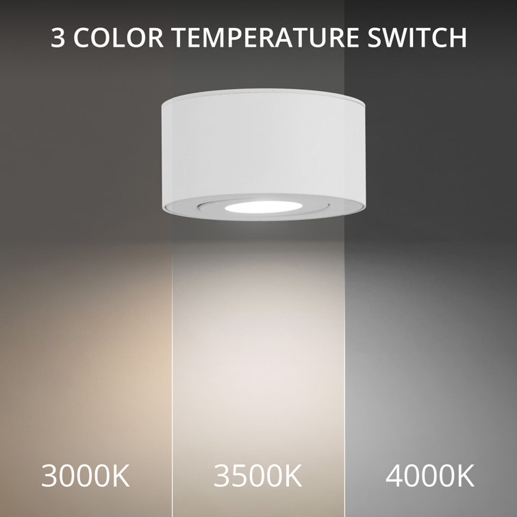White Glass LED Indoor/Outdoor Flush Mount Light
