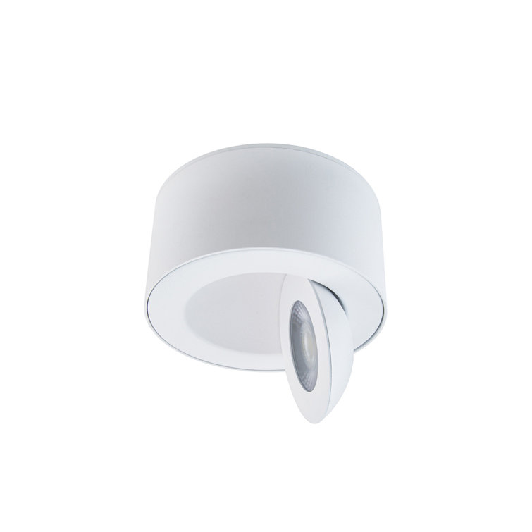 White Glass LED Indoor/Outdoor Flush Mount Light