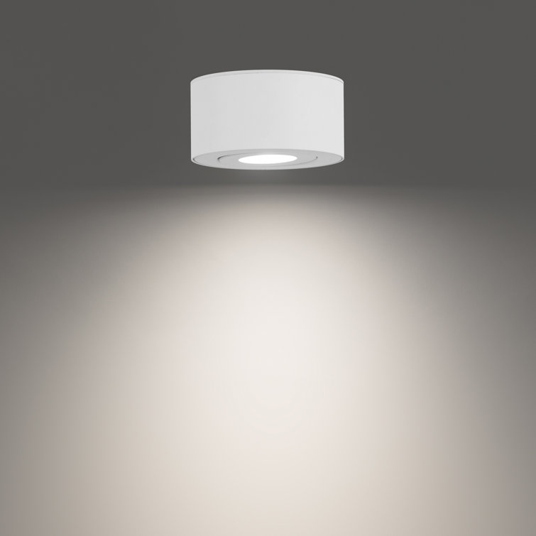 White Glass LED Indoor/Outdoor Flush Mount Light