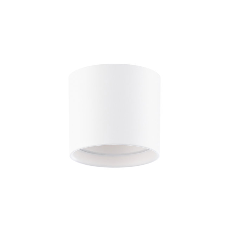 Squat Frosted White Glass Cylinder Outdoor Flush Mount Light