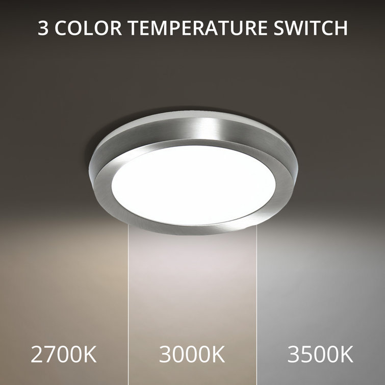 Argo Brushed Nickel Glass LED Flush Mount Light