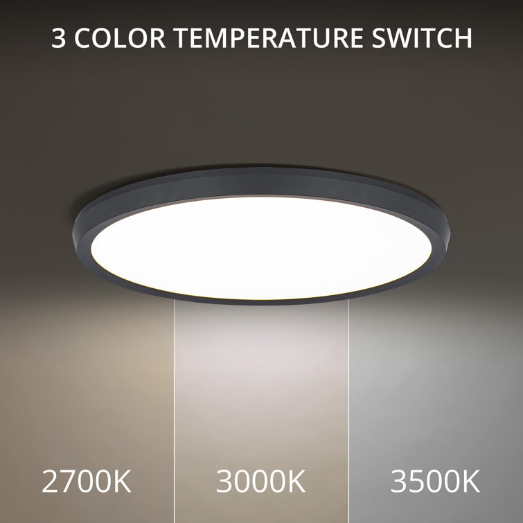 Argo Ultra-Slim Edge-Lit LED Flush Mount in Brushed Nickel & Black