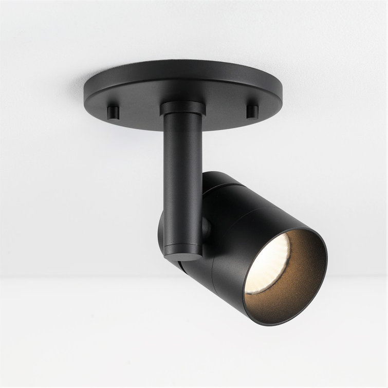 Black Adjustable LED Flush Mount Spotlight with Aluminum Shade