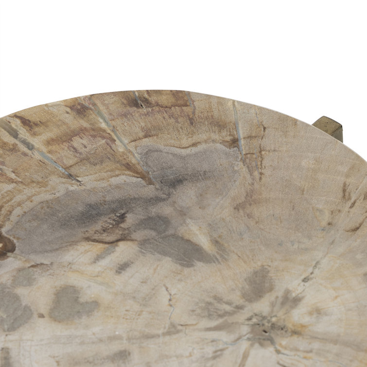 Casella 20'' Round Brass & Petrified Wood Side Table