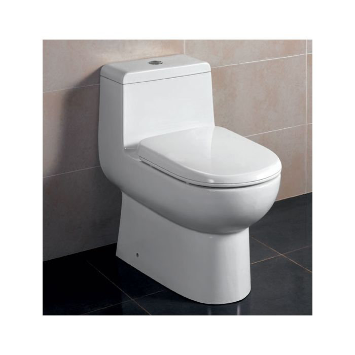 White High Efficiency Dual Flush One-Piece Toilet with Soft-Close Seat