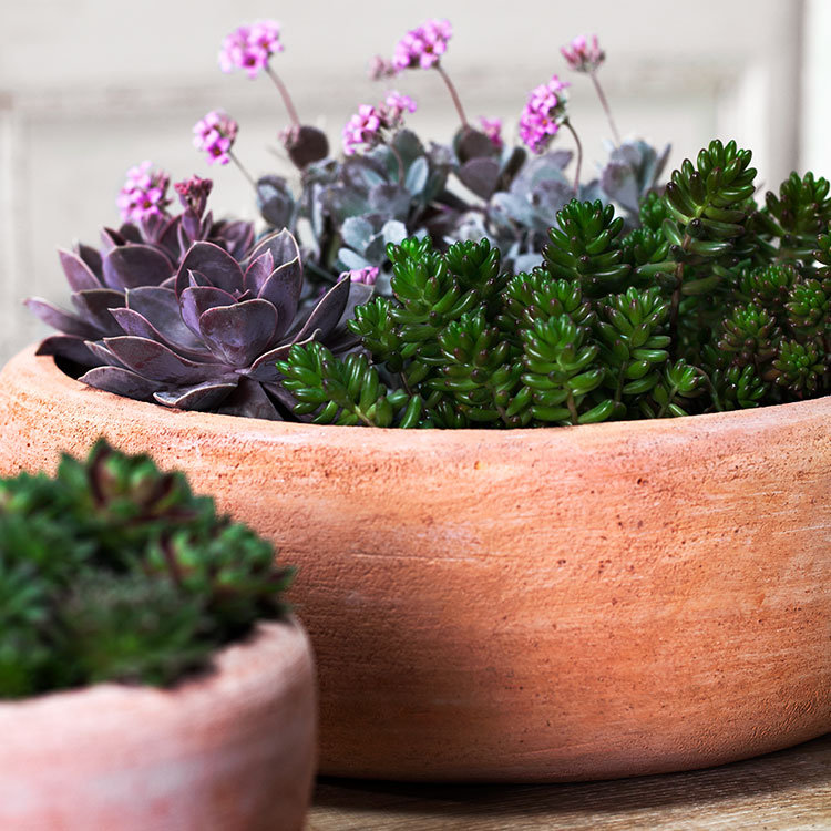 Annalise Artisanal Terra Cotta Planter Set for Indoor & Outdoor