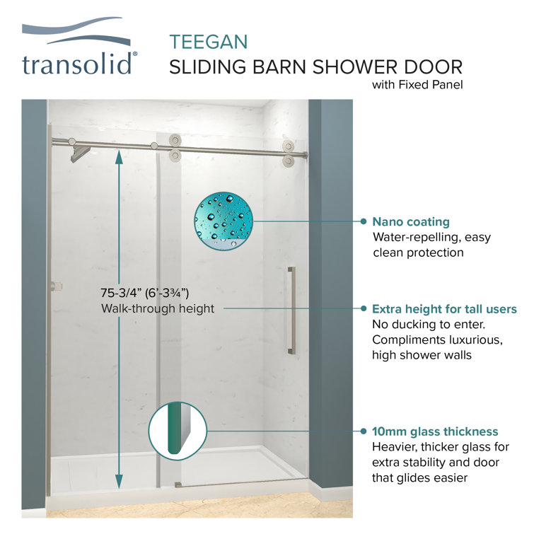 Teegan 59" x 80" Clear Glass Semi-Frameless Sliding Shower Door