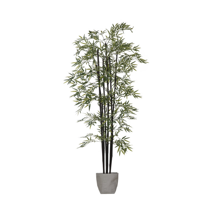 72" Tall Green Bamboo Tree with Black Poles in Eco Planter