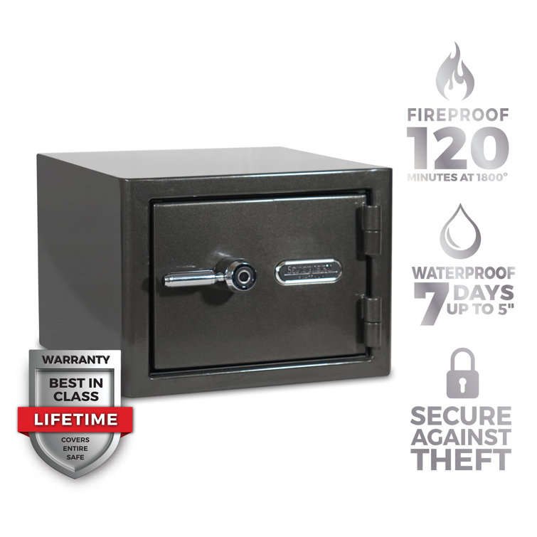 Platinum Dark Gray Biometric Fireproof Waterproof Safe, 1.07 Cu. Ft.