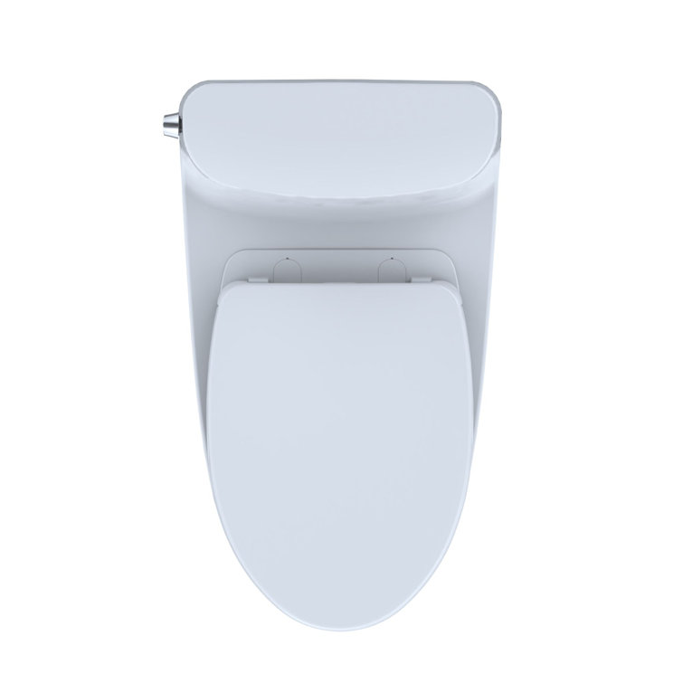 Nexus White Vitreous China Elongated One-Piece Toilet