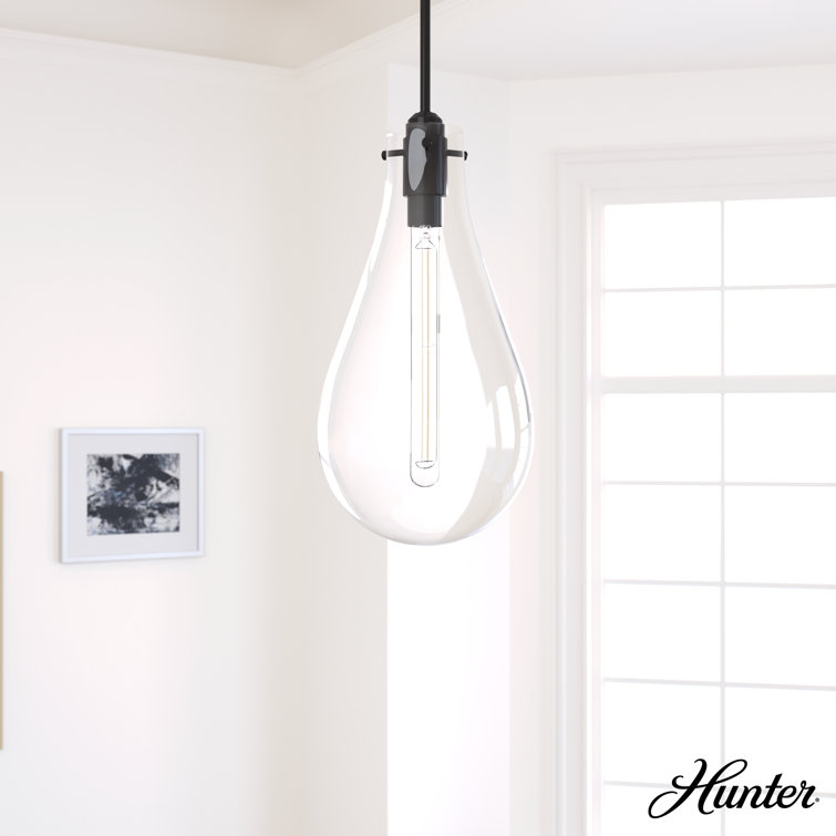 Noble Bronze and Clear Glass Pendant Light Fixture