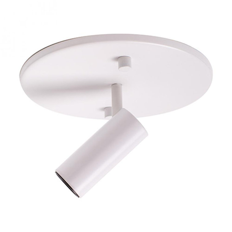 Monae Retro Black LED Orb Flush Mount Spotlight