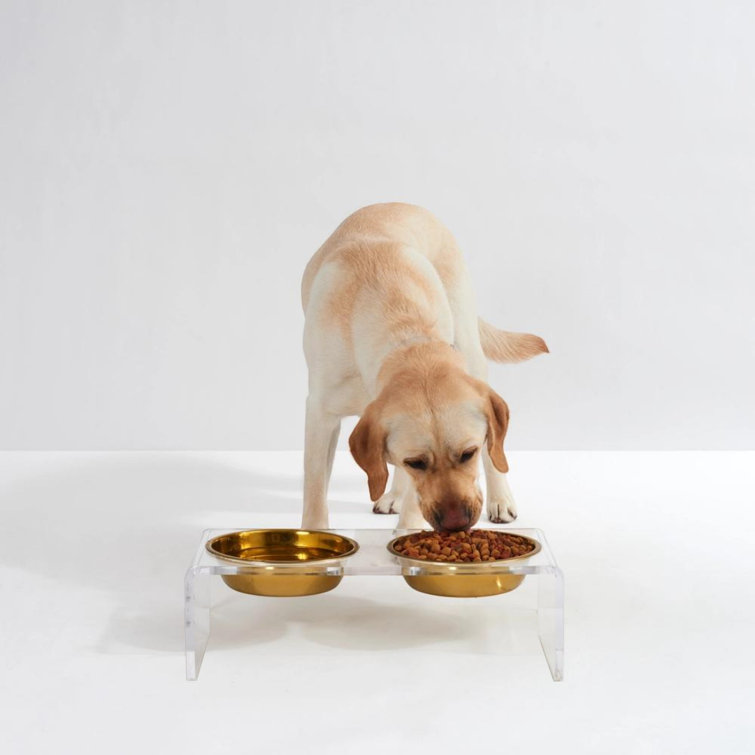 Small Clear Acrylic Elevated Feeder with Gold Bowls