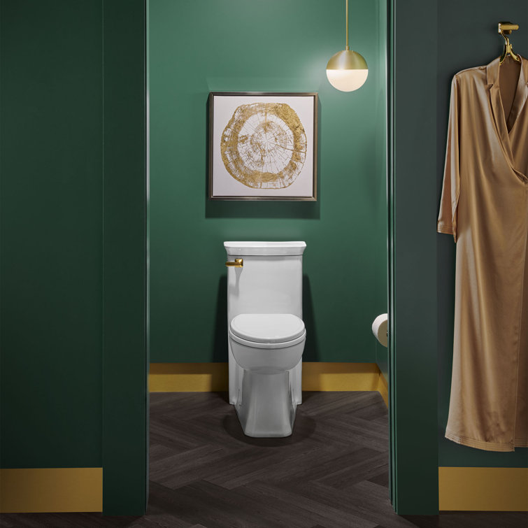 Canvas White High Efficiency One-Piece Elongated Toilet