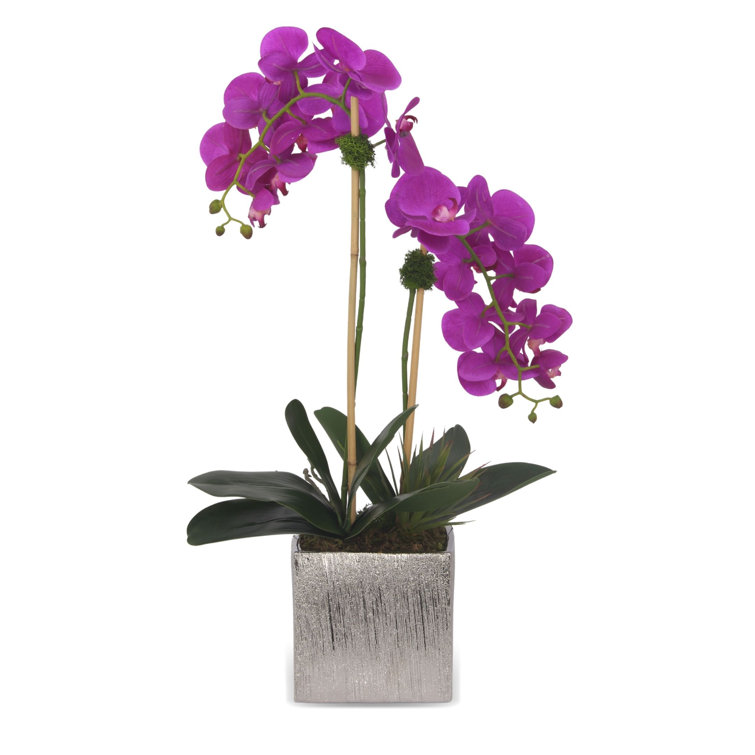 Purple and White Orchid Arrangement in Silver Ceramic Pot