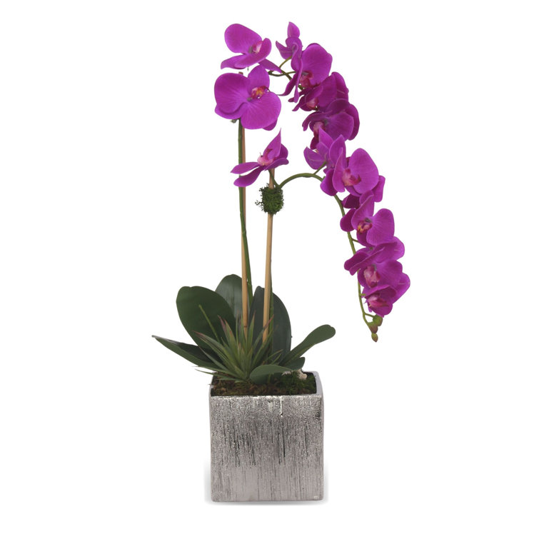 Purple and White Orchid Arrangement in Silver Ceramic Pot