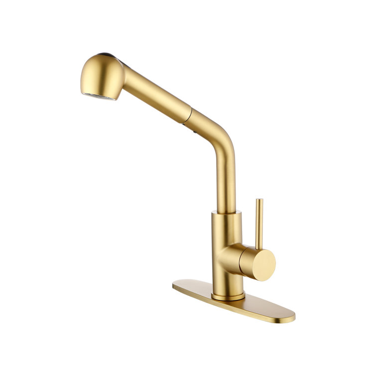 Matte Black Single Handle Pull-Out Spray Kitchen Faucet
