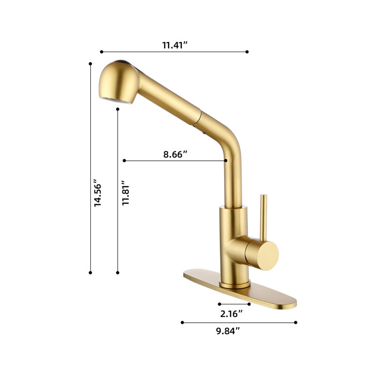 Matte Black Single Handle Pull-Out Spray Kitchen Faucet