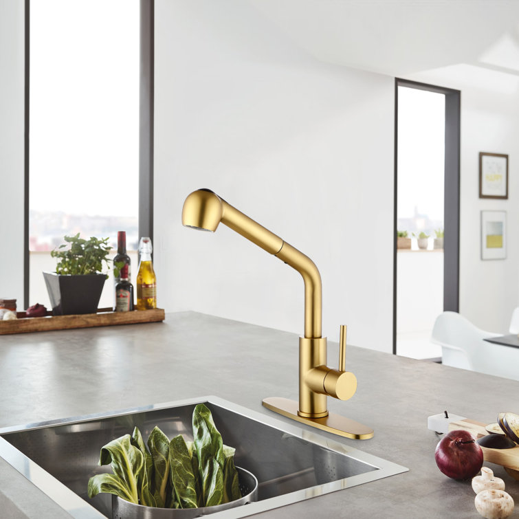 Matte Black Single Handle Pull-Out Spray Kitchen Faucet