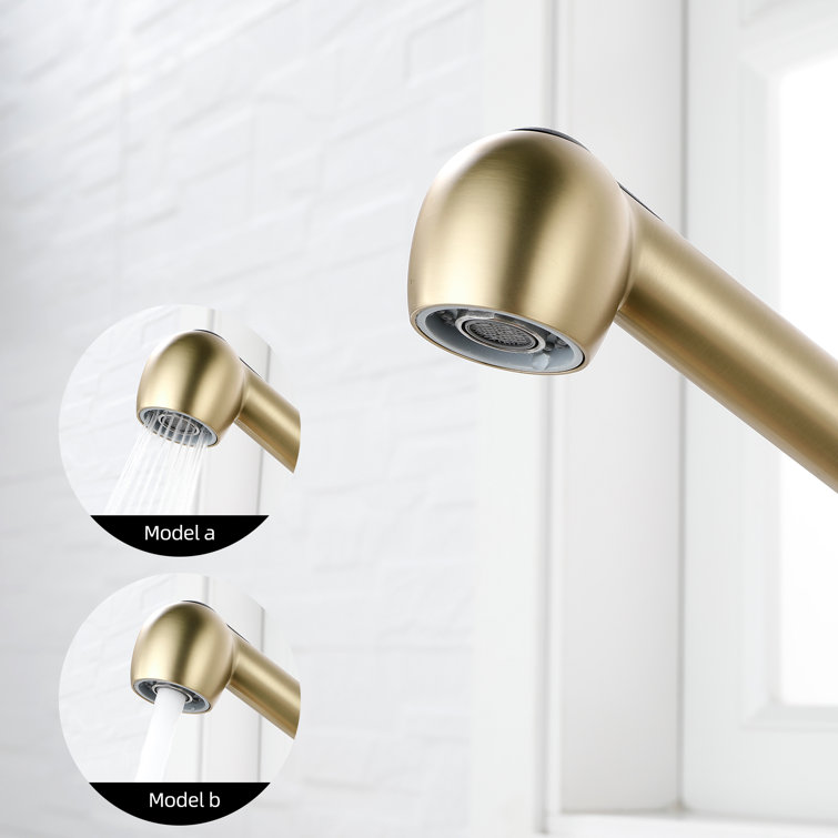 Matte Black Single Handle Pull-Out Spray Kitchen Faucet