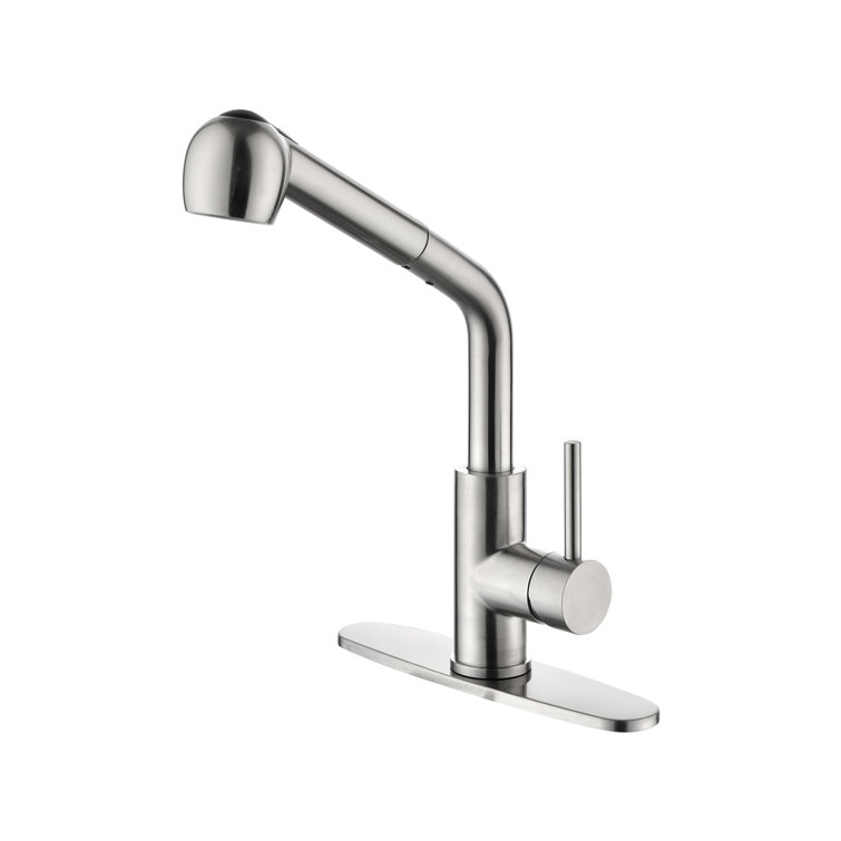 Brushed Nickel Single Handle Pull-out Spray Kitchen Faucet