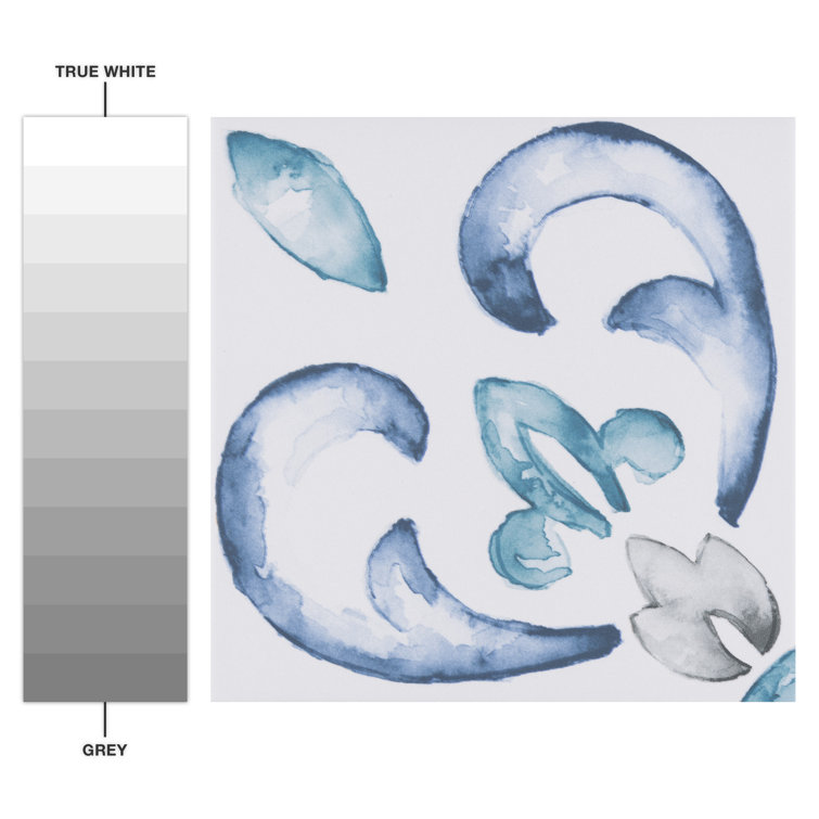 Saint Germain 6" x 6" Matte Hand-Painted Porcelain Tile