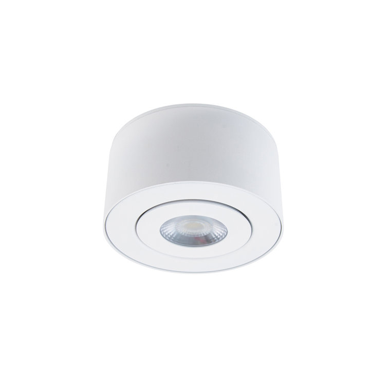 I Spy Versatile White LED Outdoor Flush Mount
