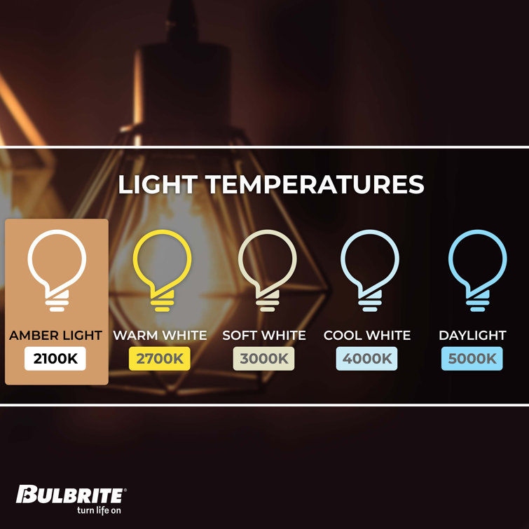 40 Watt Amber Dimmable Edison Squirrel Cage Light Bulb