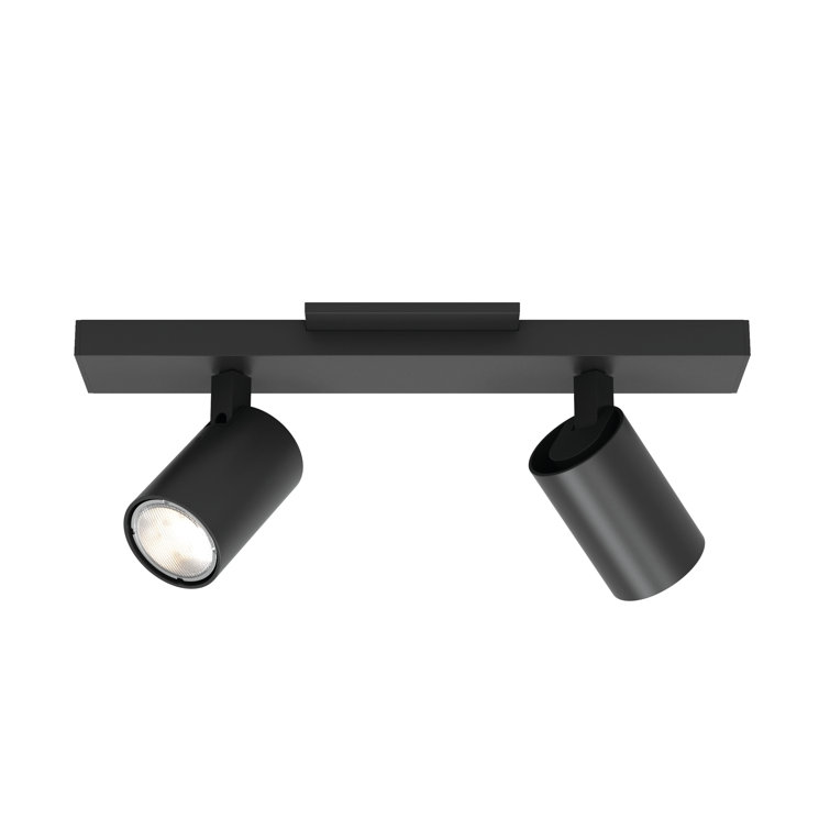 Contemporary Black Finish Adjustable LED Spotlight Flush Mount