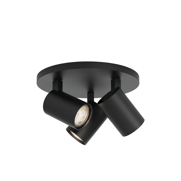 Contemporary 3-Light Adjustable LED Spotlight in Matte Black