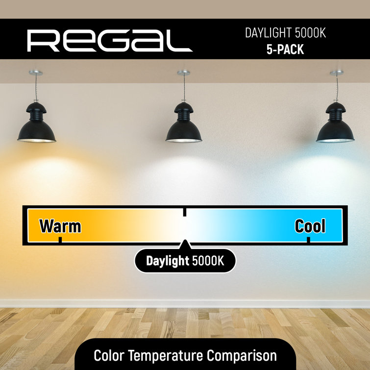 Regal 60 Watt Equivalent A19 Multicolor LED Light Bulb 5-Pack