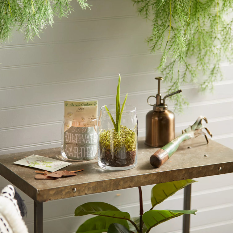Large Green Sage & Citrus Scented Soy Jar Candle