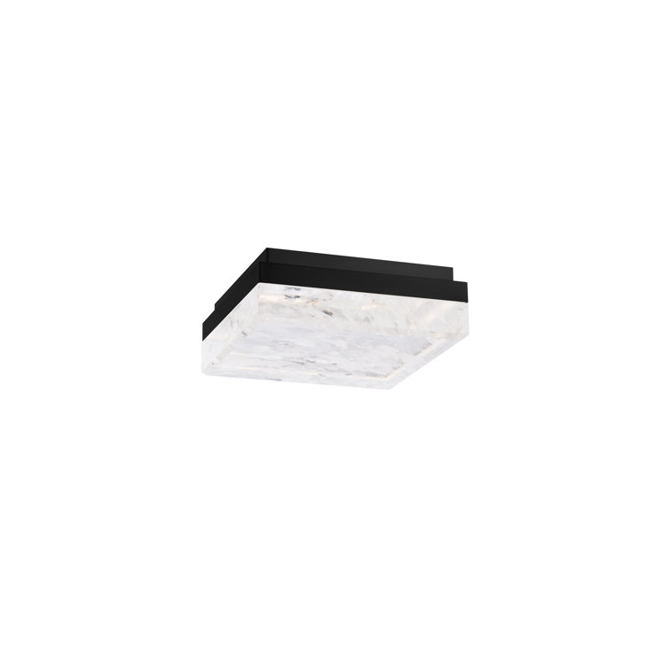 Whisper Crystal 12" Black LED Flush Mount for Indoor/Outdoor
