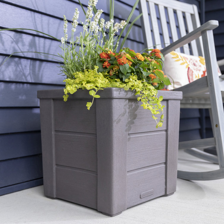 Lakewood Dark Cedar Self-Watering Planter Box 2-Pack