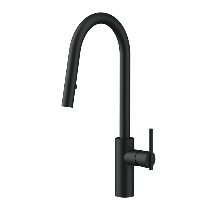 Satin Black Single Handle Pull-Down Kitchen Faucet with Spray