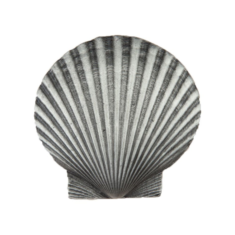 Antique Pewter Large Scallop Cabinet Knob with Hardware