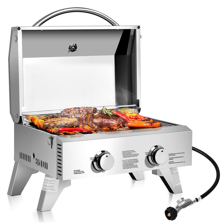 Portable Stainless Steel 2-Burner Propane Gas Grill with Foldable Legs
