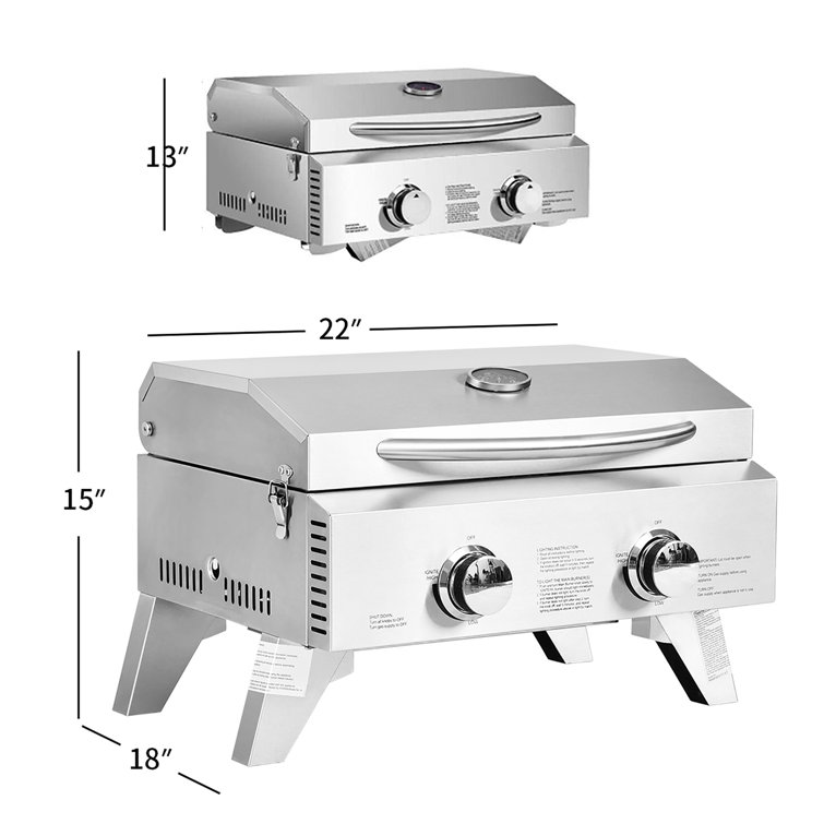 Portable Stainless Steel 2-Burner Propane Gas Grill with Foldable Legs