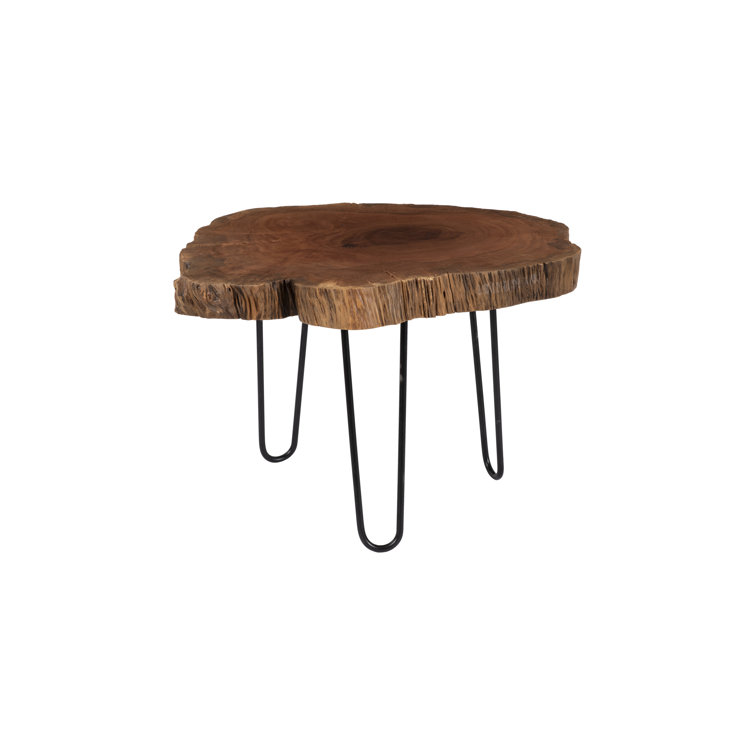 Burled Wood Slice Coffee Table with Black Metal Legs, Small