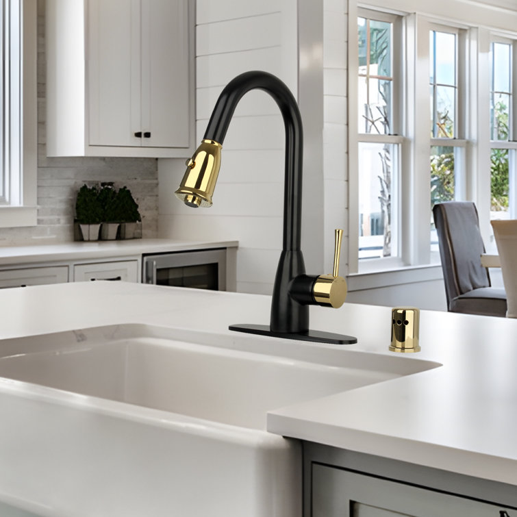 Black and Gold Brass Pull Down Kitchen Faucet with Spray