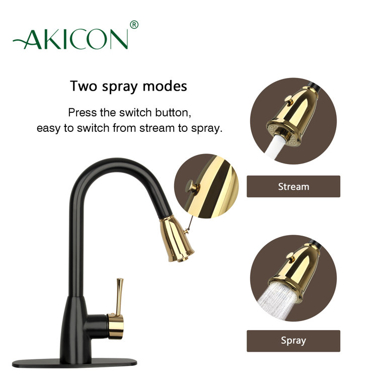 Black and Gold Brass Pull Down Kitchen Faucet with Spray