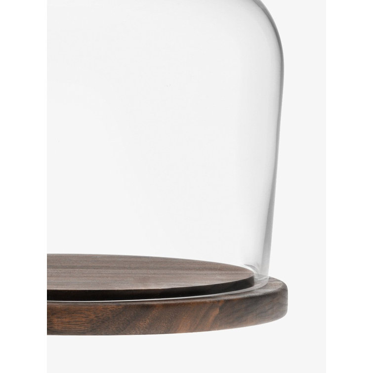 Modern Clear Glass Dome with Oiled Walnut Base