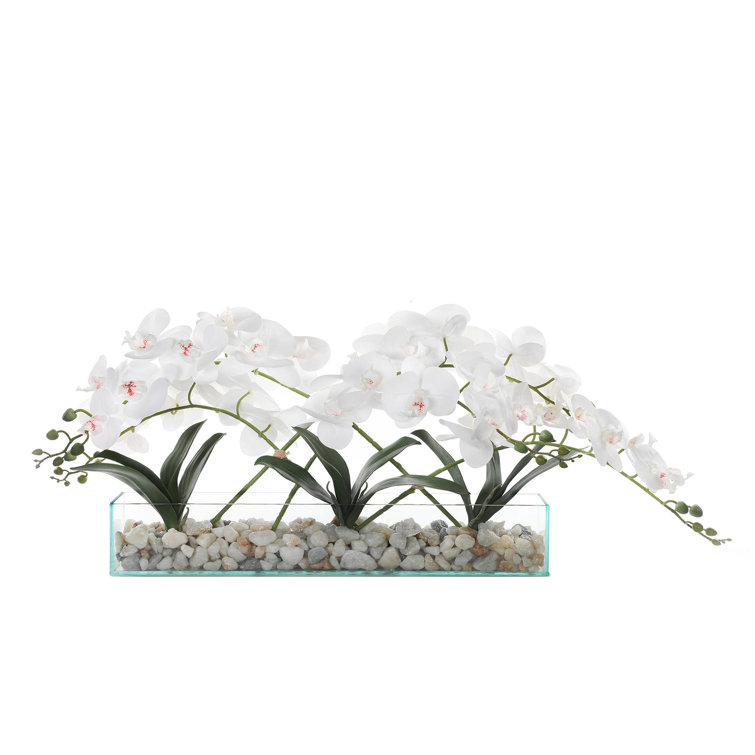 Elegant White Orchid Centerpiece in Glass Vase with Rocks