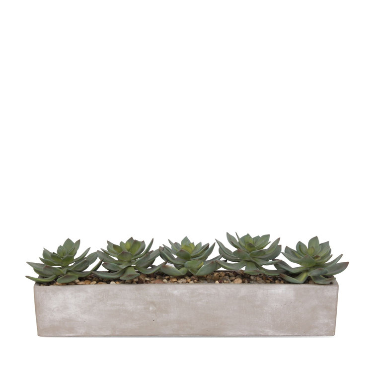 Gray Rectangular Pot with Silk Succulent Arrangement
