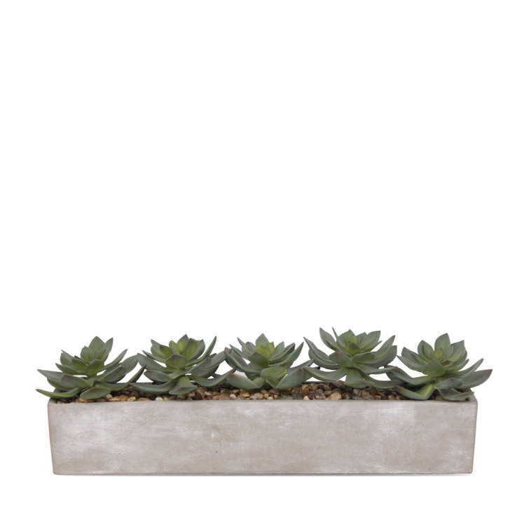 Gray Rectangular Pot with Silk Succulent Arrangement