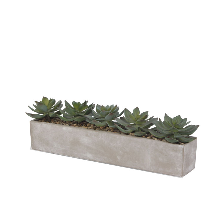 Gray Rectangular Pot with Silk Succulent Arrangement