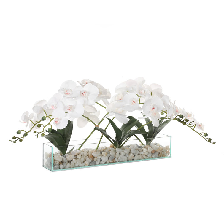 Elegant White Orchid Centerpiece in Glass Vase with Rocks