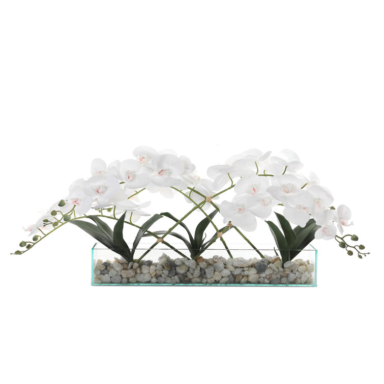 Elegant White Orchid Centerpiece in Glass Vase with Rocks